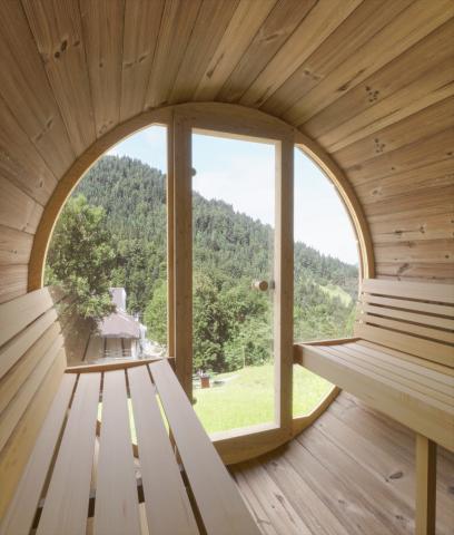 SaunaLife E8G 6-Person Barrel Sauna With Front Glass